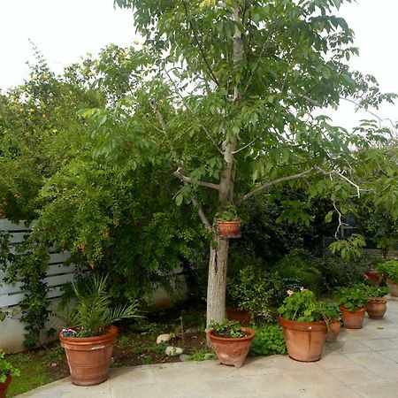 Sunny Garden Studio Hotel Nicosia Kültér fotó