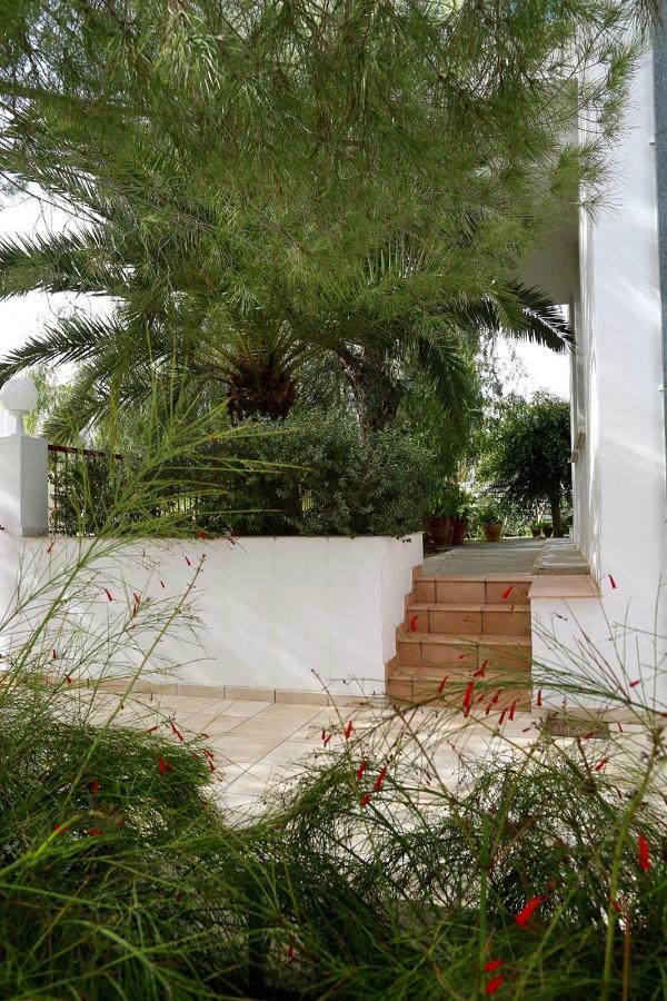 Sunny Garden Studio Hotel Nicosia Kültér fotó