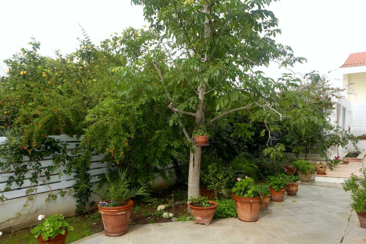 Sunny Garden Studio Hotel Nicosia Kültér fotó