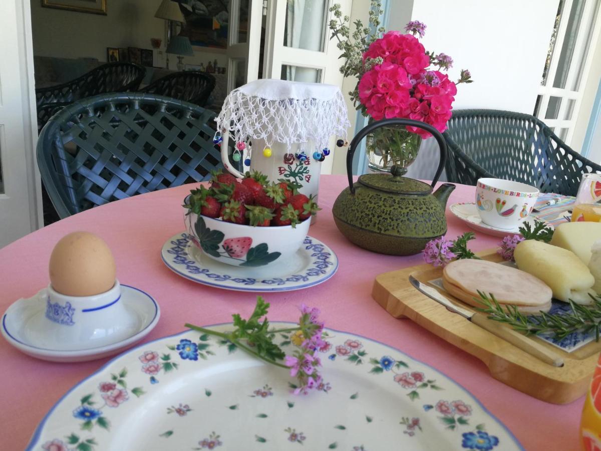 Sunny Garden Studio Hotel Nicosia Kültér fotó